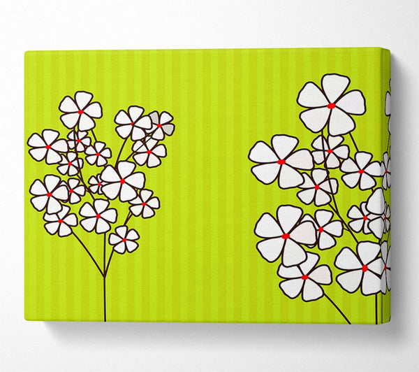 Poppies On Lime Green