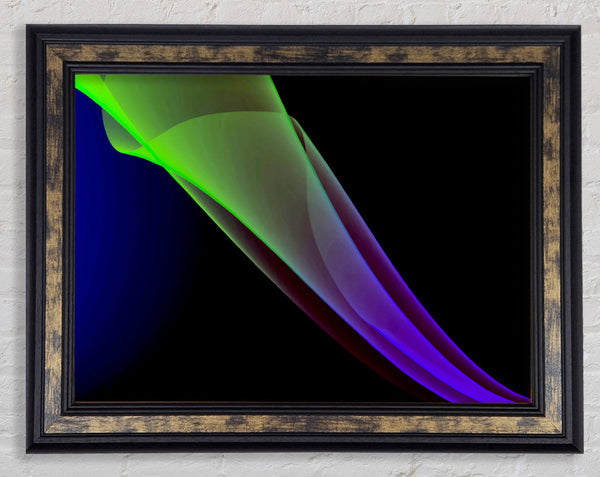 Triumphant Framed Print
