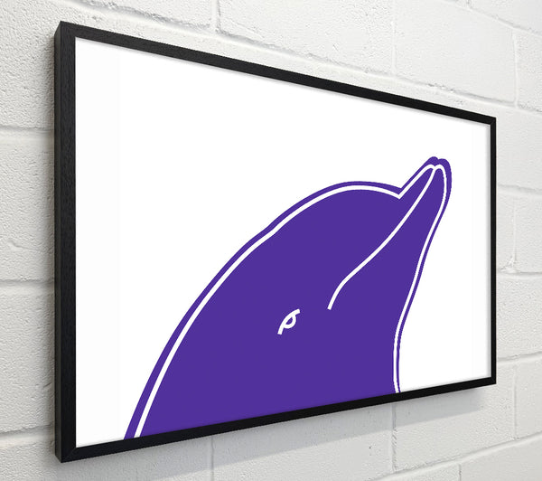 Purple Dolphin