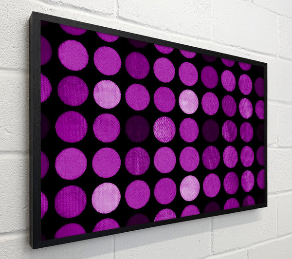 Purple Circles