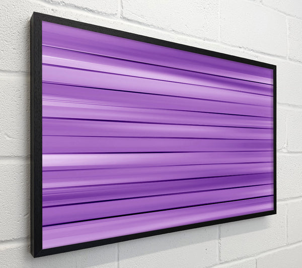 Just Purples