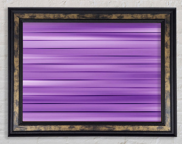 Just Purples Framed Print