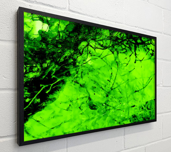 Green Branches In The Wind