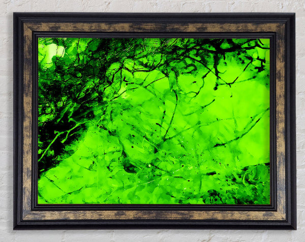 Green Branches In The Wind Framed Print