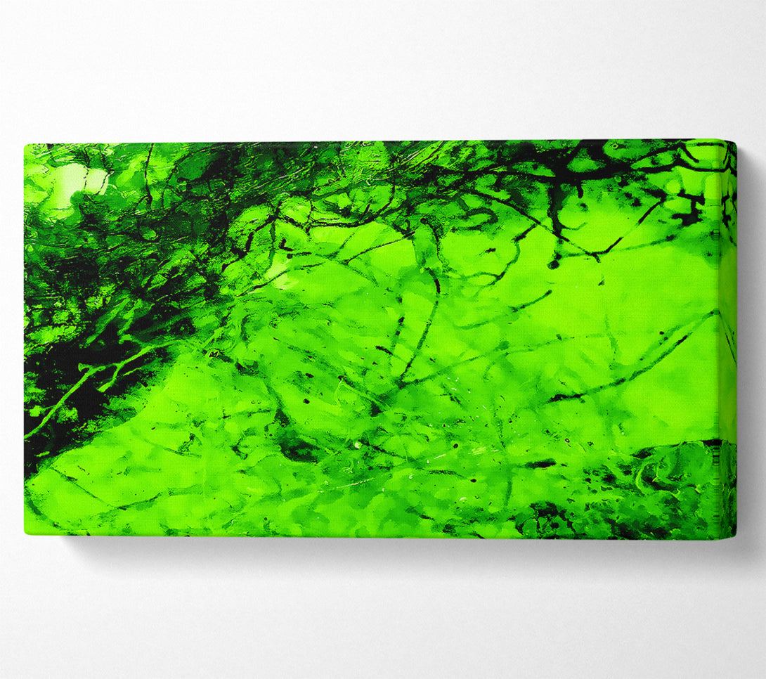  A Canvas Print of Green Branches In The Wind Canvas Art
