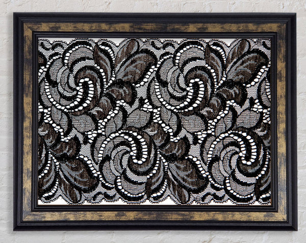 Feathering Beauty Framed Print