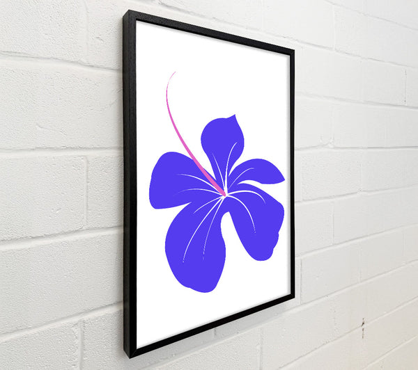 Purple Bloom