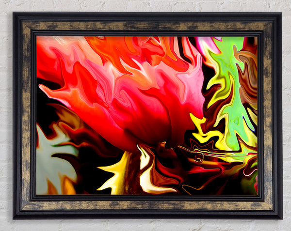 Floral Fury Framed Print