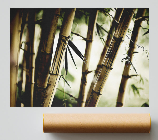 Stunning Bamboo Print