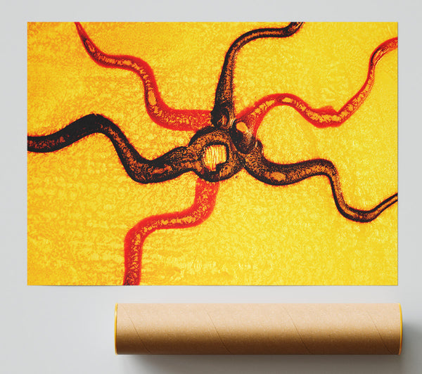 Rays Of The Sun Print
