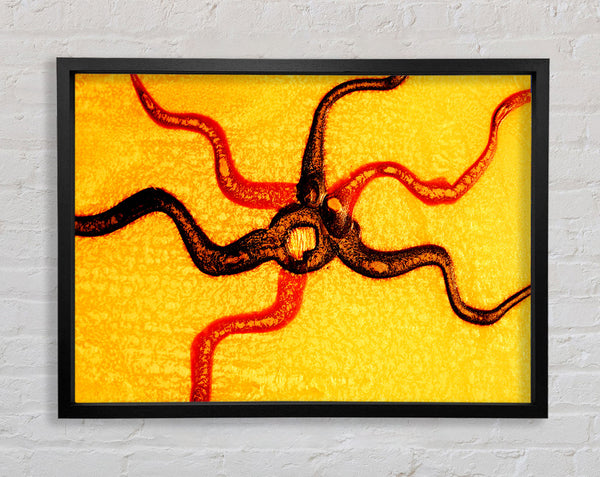 Rays Of The Sun Framed Print