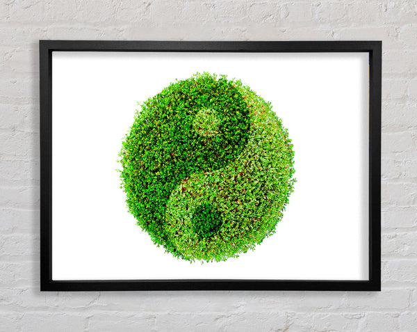 Ying And Yang Framed Print