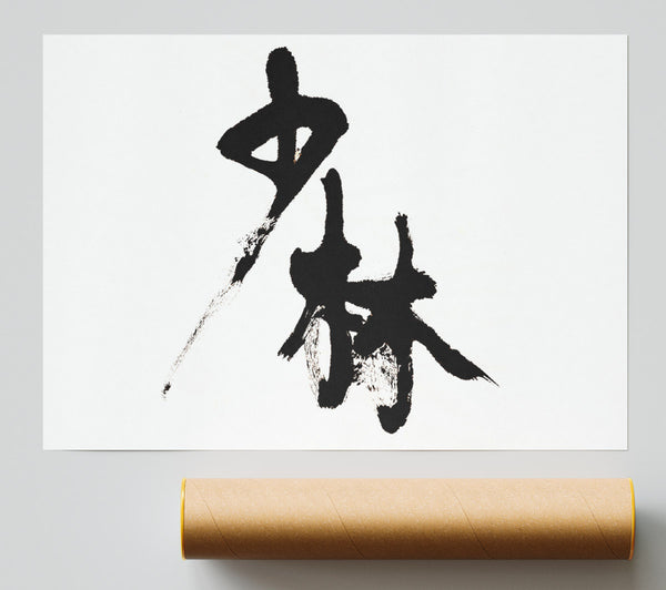 Chinese Symbol Poster