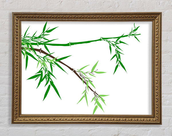 Bamboo Branches Framed Print