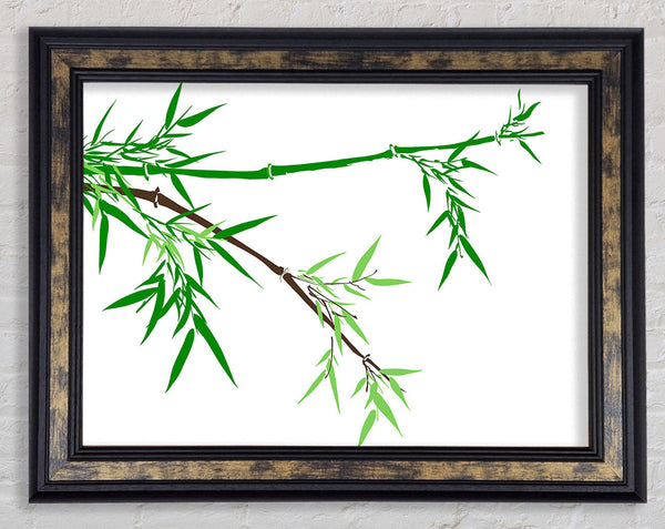 Bamboo Branches Framed Print