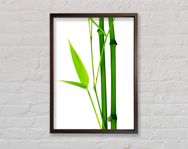 Bamboo Cane Framed Print