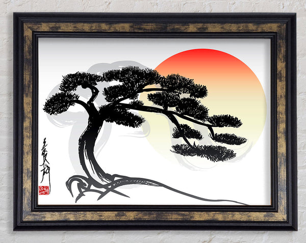 Bonsai Tree Framed Print