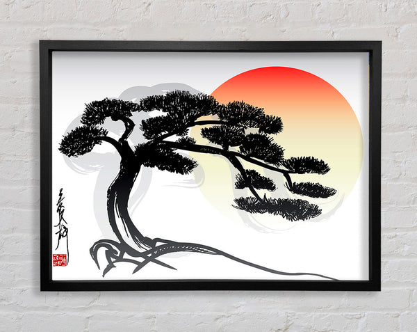 Bonsai Tree Framed Print