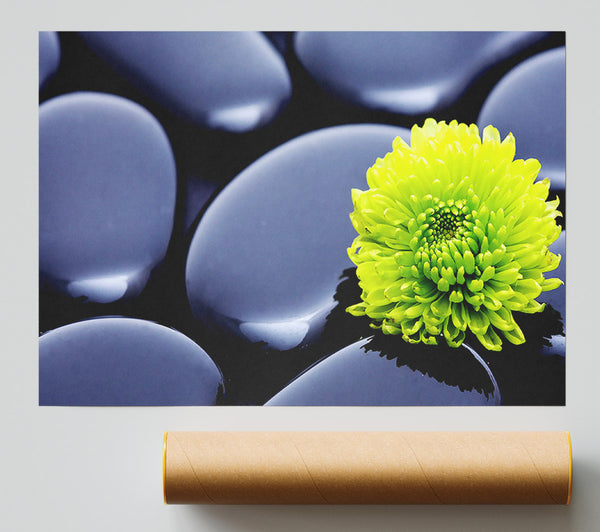 Black Zen Stones And A Yellow Mum Poster