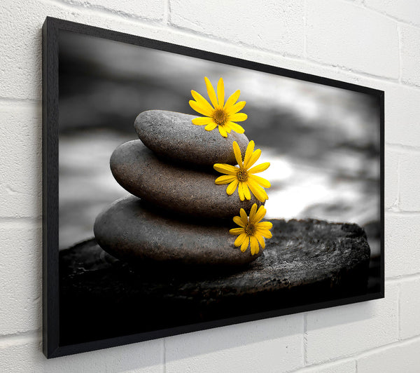 Zen Flowered Stones