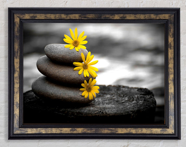 Zen Flowered Stones Framed Print