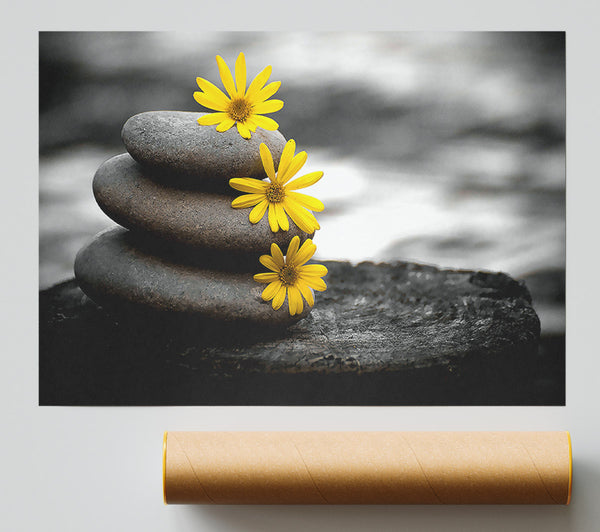 Zen Flowered Stones Poster