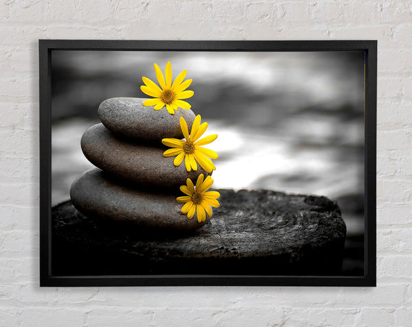 Zen Flowered Stones Framed Print