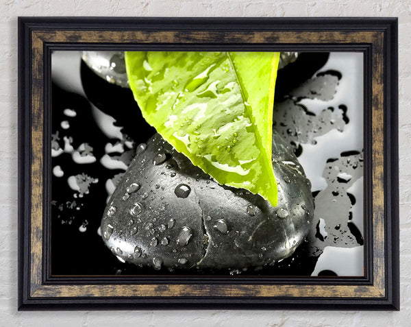 Zen Stone And Leaf Framed Print
