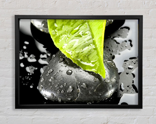 Zen Stone And Leaf Framed Print