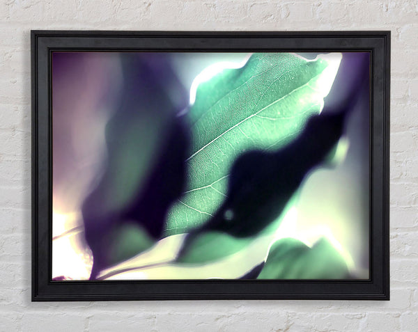 Leaves Hidding From The Light Framed Print