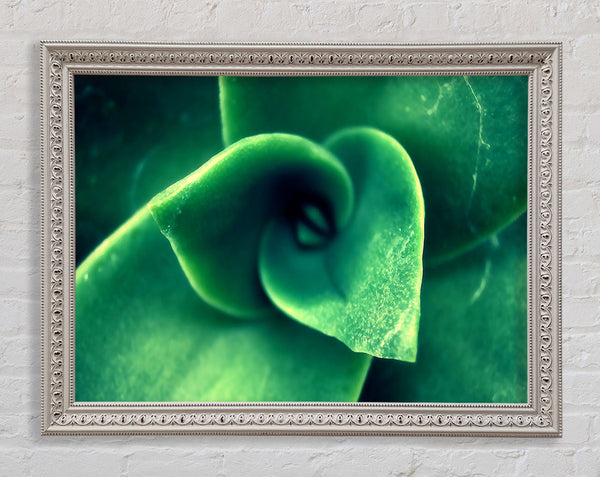 Green Light From The New Leaves Framed Print