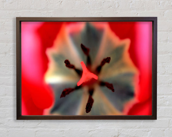 Inside A Tulip Framed Print