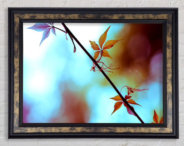 Leaves Close Up Framed Print