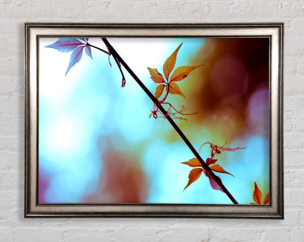 Leaves Close Up Framed Print