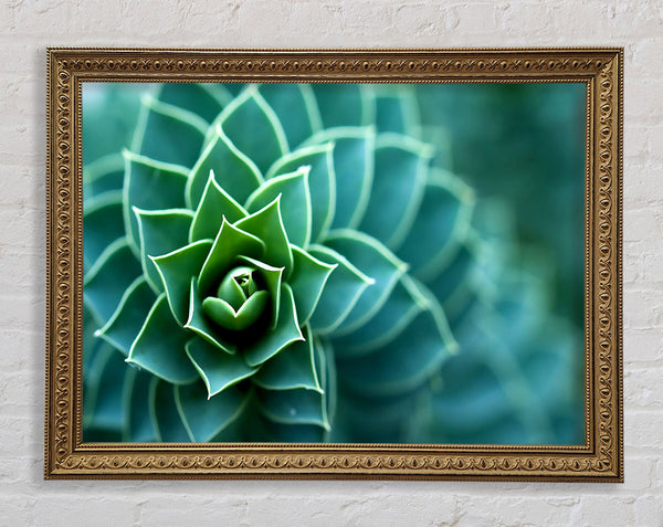 Beautiful Plant Framed Print