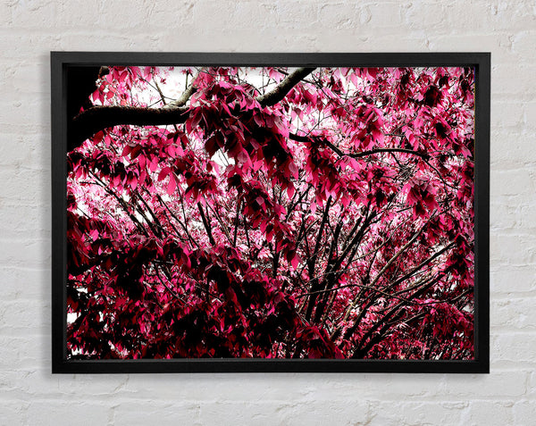 Pink Tree Framed Print