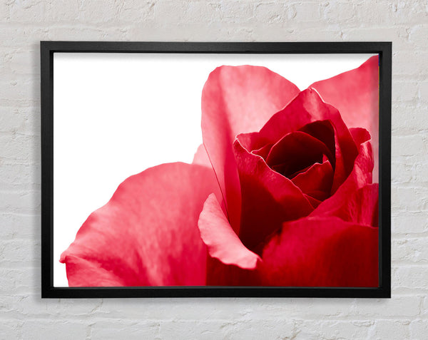 Pure Framed Print