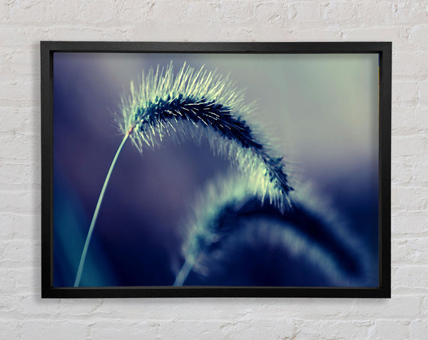 Spikelets Macro Framed Print