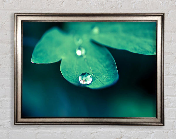 Drop Of Water Macro Framed Print