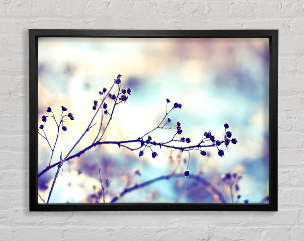 Spikey Twigs With Berries Framed Print