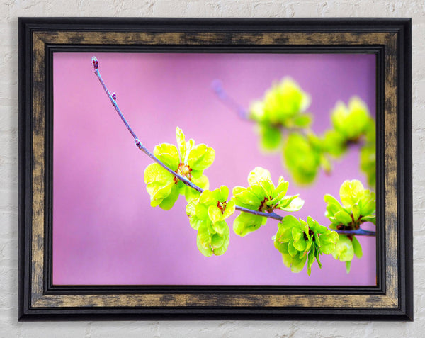 Small Green Flowers Framed Print