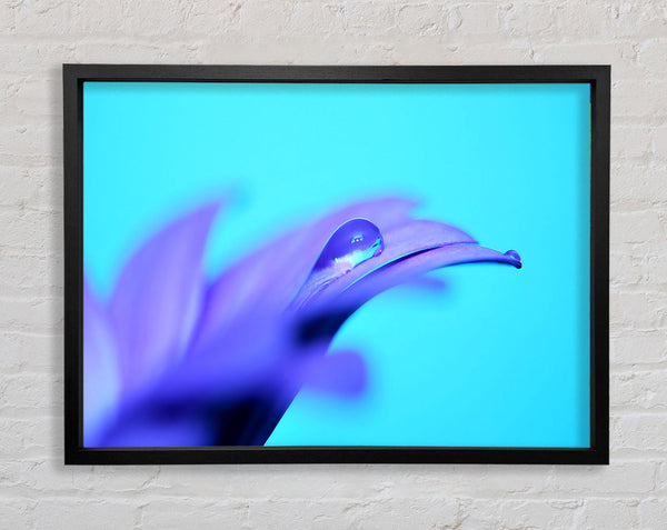 Purple Petals Framed Print