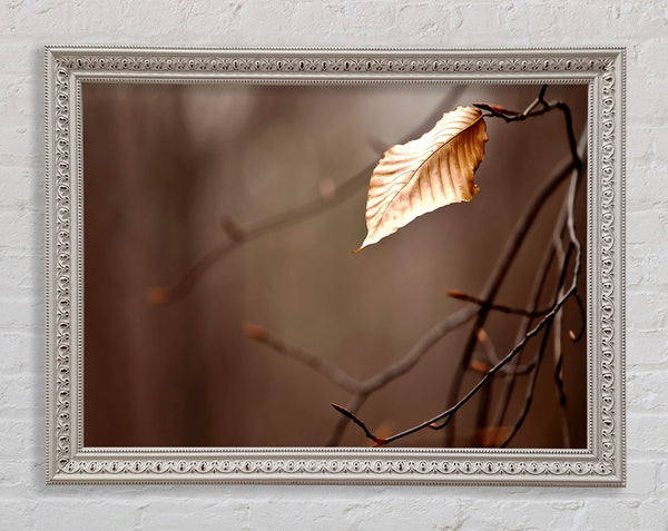 Leafless Framed Print