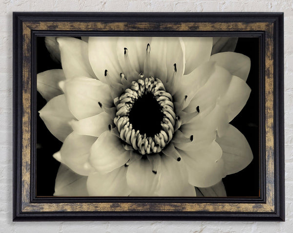 Tenderness Framed Print