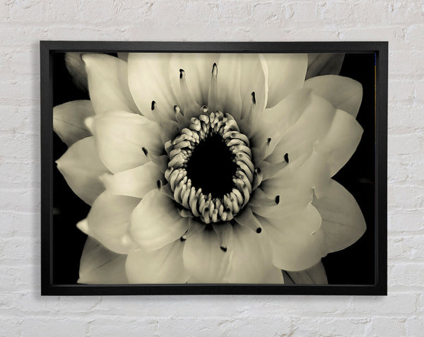 Tenderness Framed Print