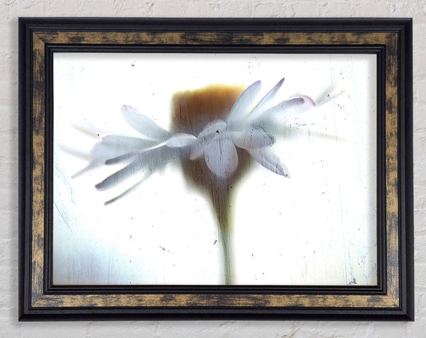 Vintage Daisy Framed Print