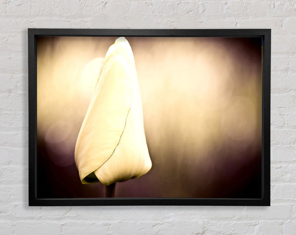 Tulip Vintage Framed Print