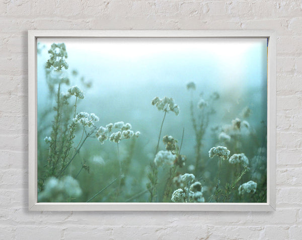 Fragile Beauty Framed Print