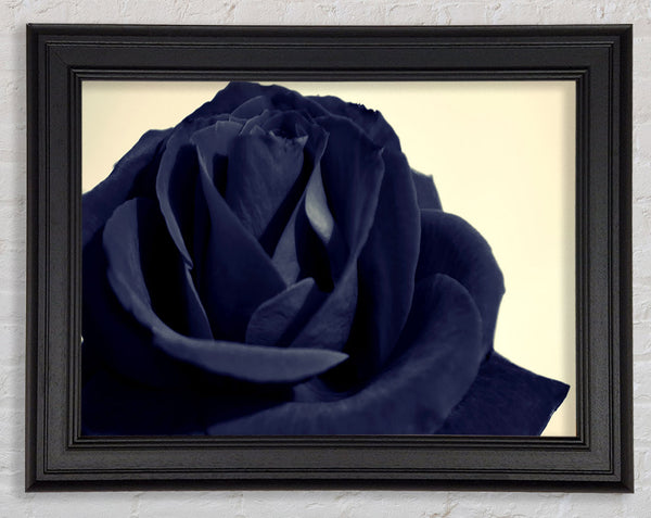 Black Blue Rose Framed Print