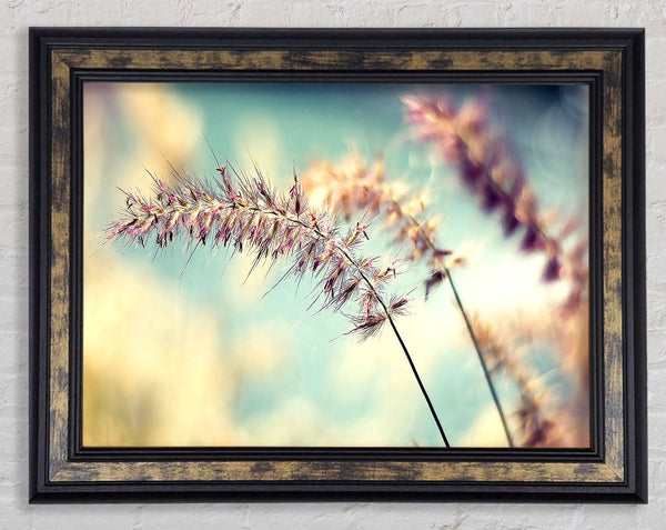 All Along Framed Print
